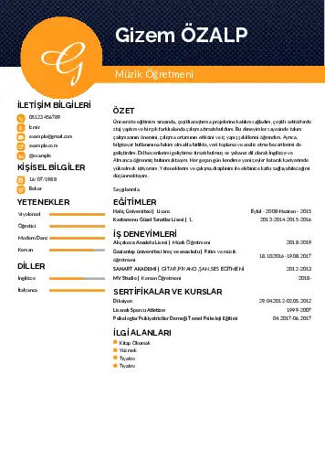 Müzik Öğretmeni Cv Örnekleri cv indir